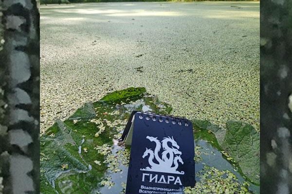 Кракен сайт ссылка онлайн