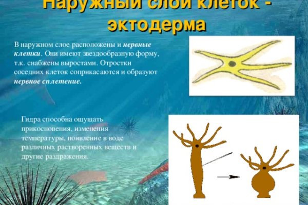 Kraken cc ссылка