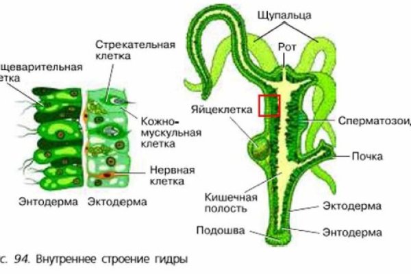 Кракен макет плейс