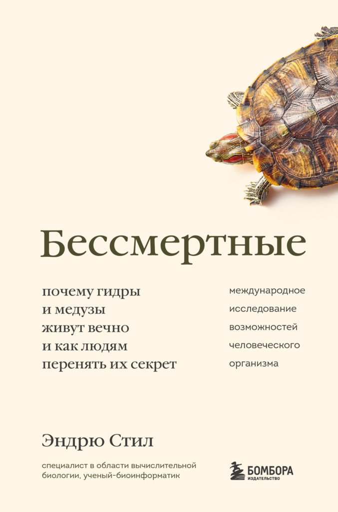 Нарко маркетплейсы