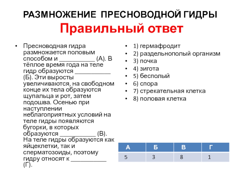 Сайты типа гидры